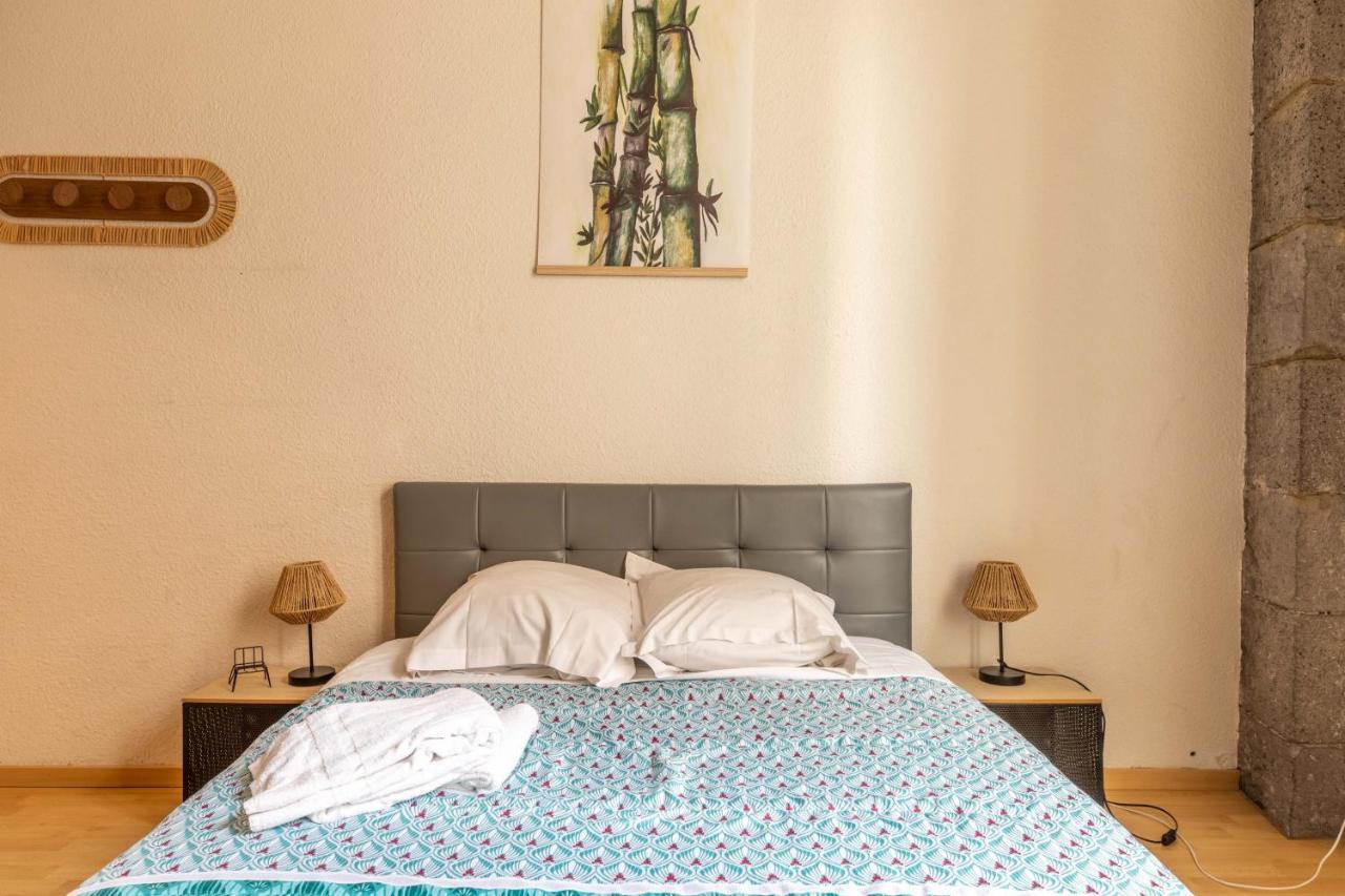 Evasion Centre-Ville 2 A 8 Personnes Clermont-Ferrand Luaran gambar